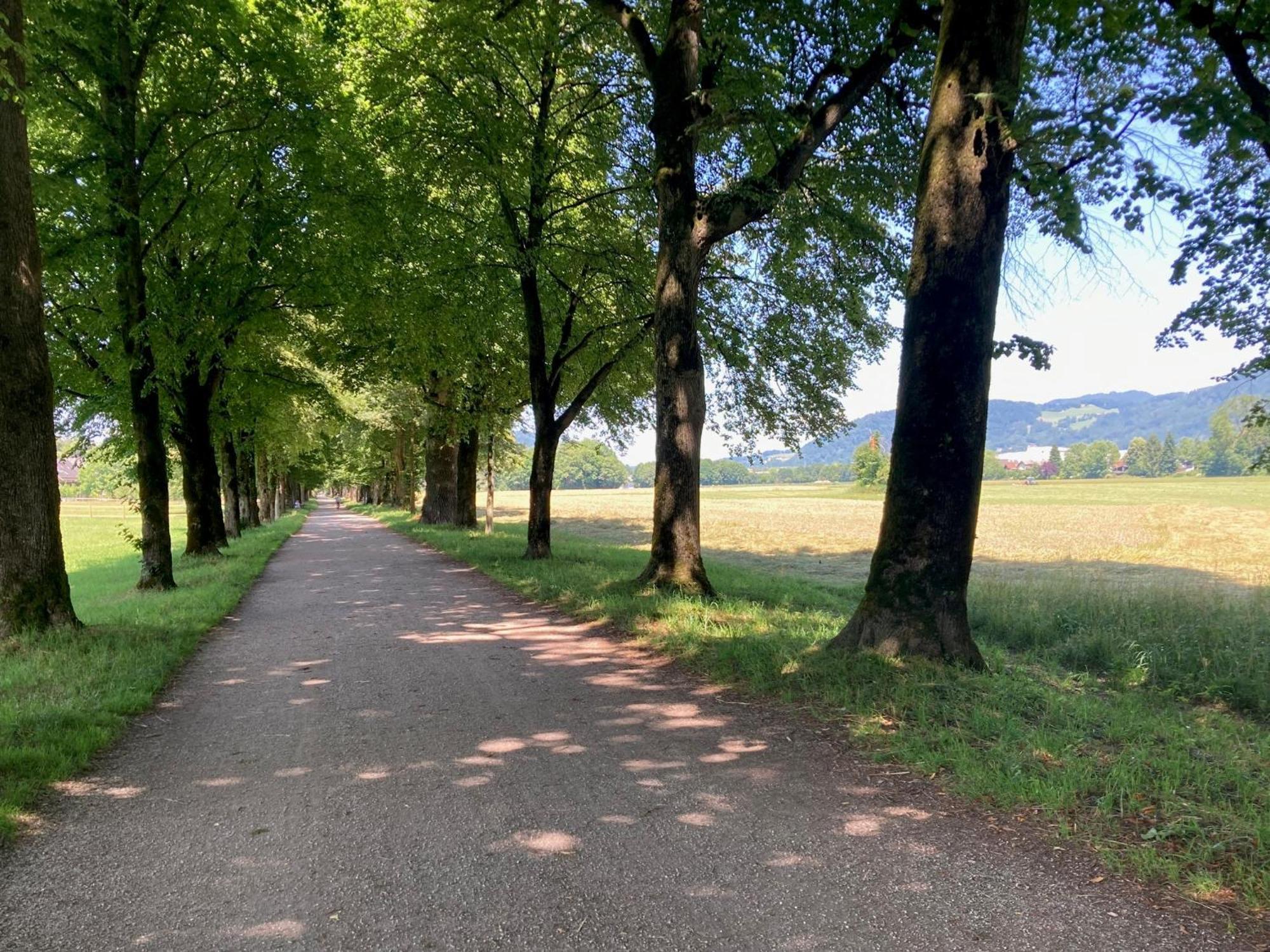Haus Mit Sauna Und Privatem Badeteich In Anif Bei Salzburg المظهر الخارجي الصورة
